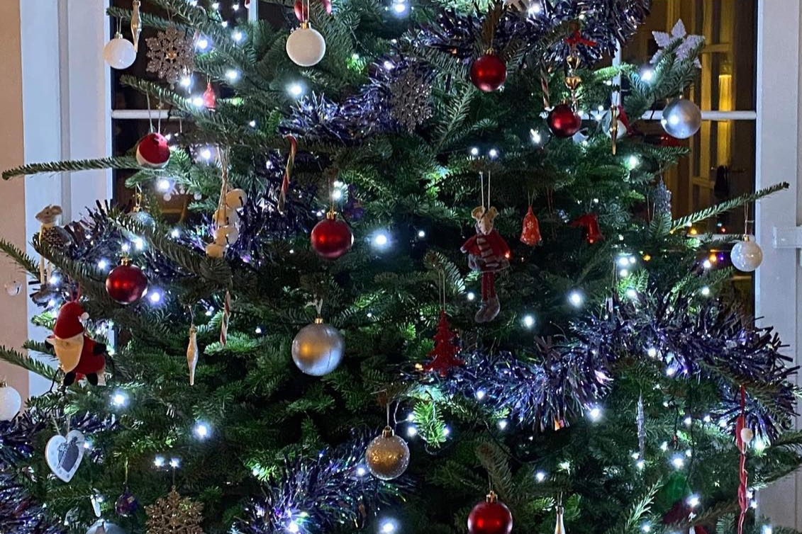 Decorated Christmas Tree